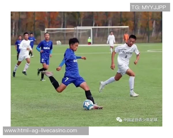 即时比分足球比赛实时更新助你掌握赛事动态与精彩瞬间